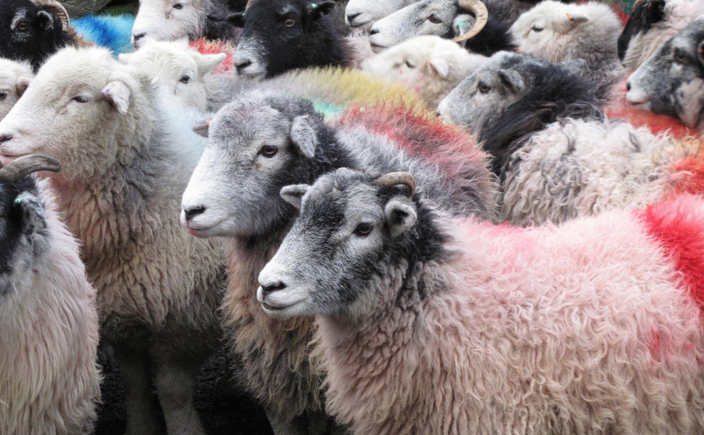 herstoffering stoffen project meubelstoffen raambekleding