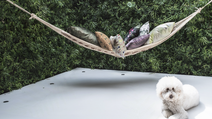 pillows cushion wallpaper behang upholstery her-stoffering planten bloemen