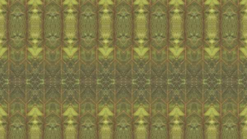 Est-1966 Chantal Keizer Wallcovering fotobehang natuur 