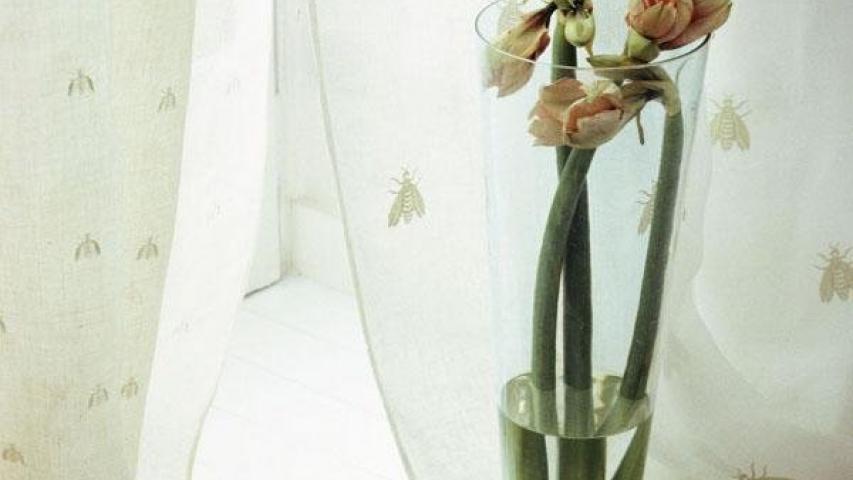 Mastro Raphaël inbetween gedichten gordijn raambekleding