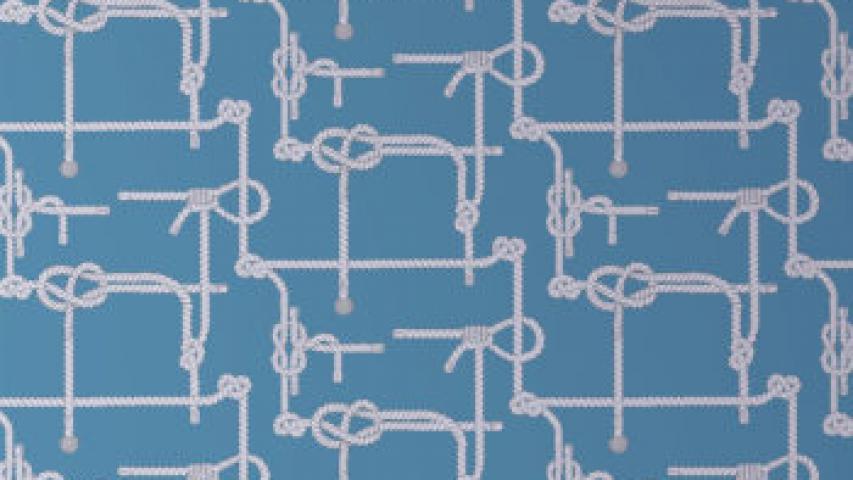 Rope Visual Cornflower